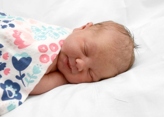 {29637b20-fdc7-4ccb-9ae8-81ca77e079a6}_2