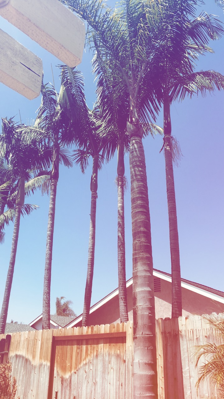 A Toddler Mom’s&nbsp;Staycation